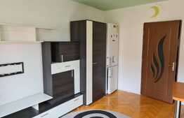 Garsonieră de vanzare in zona Buziașului