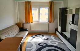 Garsonieră de vanzare in zona Buziașului