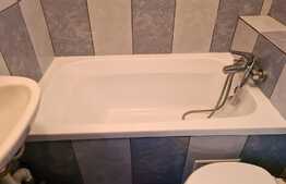 Garsonieră de vanzare in zona Buziașului