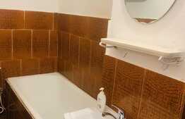 Apartament de inchiriat cu o camera, zona centrala 