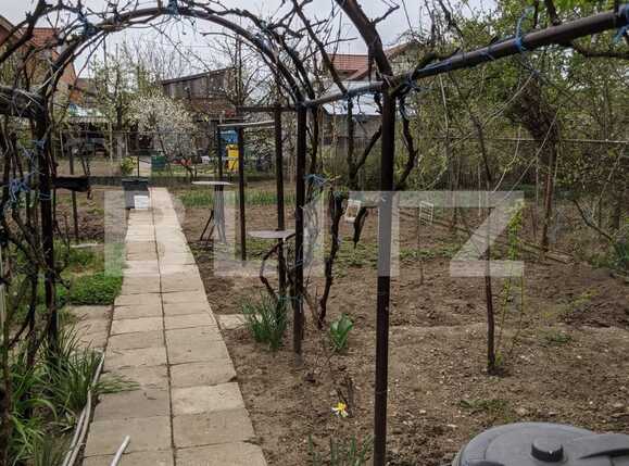 Casa de vânzare 6 camere Fratelia - 63272CV | BLITZ Timișoara | Poza10