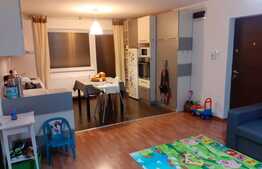 Apartament 2 camere, 48 mp ,Zona Eso Giroc