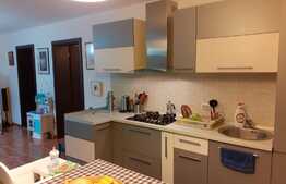 Apartament 2 camere, 48 mp ,Zona Eso Giroc