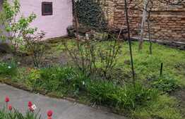 Vanzare casa 85 mp utili, 250 mp teren, zona Elisabetin