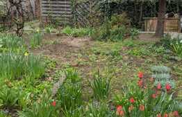 Vanzare casa 85 mp utili, 250 mp teren, zona Elisabetin