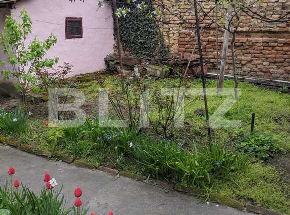 Casa de vânzare 3 camere Girocului - 63329CV | BLITZ Timișoara | Poza6