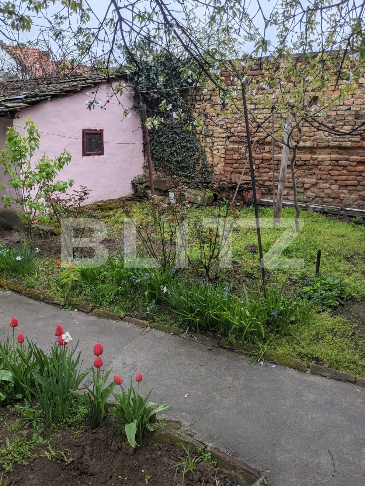 Casa de vânzare 3 camere Girocului - 63329CV | BLITZ Timișoara | Poza6