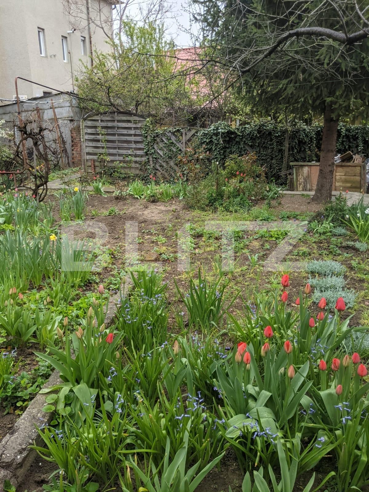 Casa de vânzare 3 camere Girocului - 63329CV | BLITZ Timișoara | Poza2