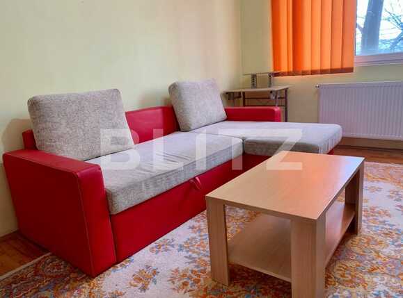 Garsonieră de închiriat Complex Studentesc - 63489AI | BLITZ Timișoara | Poza2