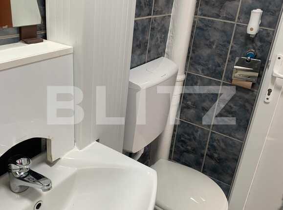Garsonieră de închiriat Complex Studentesc - 63489AI | BLITZ Timișoara | Poza13