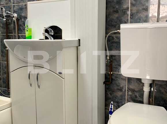 Garsonieră de închiriat Complex Studentesc - 63489AI | BLITZ Timișoara | Poza12