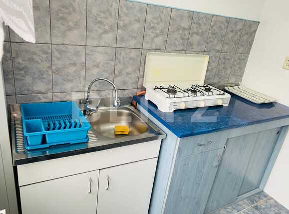 Garsonieră de închiriat Complex Studentesc - 63489AI | BLITZ Timișoara | Poza9