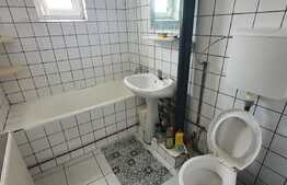 Apartament cu vedere la parc, zona Bucovinei