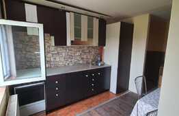 Apartament cu vedere la parc, zona Bucovinei