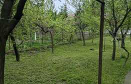 Casa individuala, zona Elisabetin, teren 820 mp