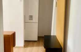 Garsoniera de inchiriat pe B-dul.Liviu Rebreanu