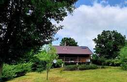 Casa de vacanta superba, 130 mp utili, 720 mp teren, Sat Sintar