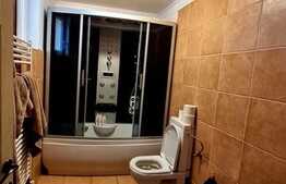 Casa de vacanta superba, 130 mp utili, 720 mp teren, Sat Sintar