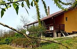 Casa de vacanta superba, 130 mp utili, 720 mp teren, Sat Sintar