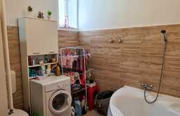 Apartament 3 camere, 100 mp utili, curte privată, Badea Cârțan