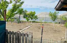 Casa Indviduala zona Mehala 