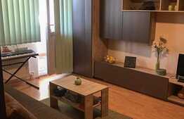 Apartament 2 camere, 58mp, boxă subsol, curte privată, Gara de Nord