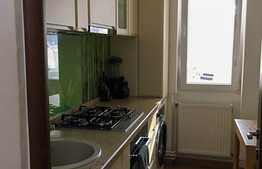 Apartament 2 camere, 58mp, boxă subsol, curte privată, Gara de Nord