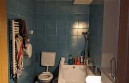 Casa de vanzare, 416 mp utili, teren 720 mp, Zona Freidorf