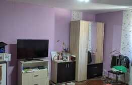 Casa de vanzare, 416 mp utili, teren 720 mp, Zona Freidorf