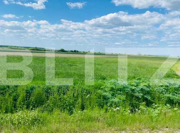 Teren de vânzare Giroc - 64479TV | BLITZ Timișoara | Poza1