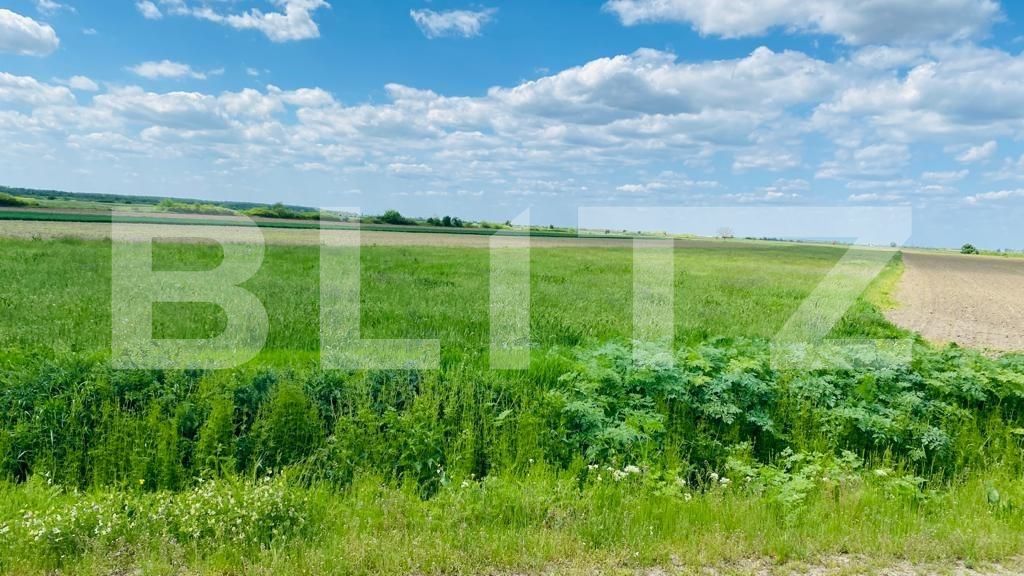 Teren de vânzare Giroc - 64479TV | BLITZ Timișoara | Poza1