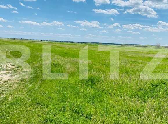 Teren de vânzare Giroc - 64480TV | BLITZ Timișoara | Poza1