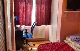 Apartament de 2 camere, 40 mp utili, Calea Sagului