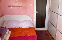 Apartament de 2 camere, 40 mp utili, Calea Sagului