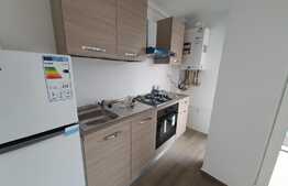 Apartament 2 camere, 54 mp, balcon de 3 mp, Zona Lipovei 