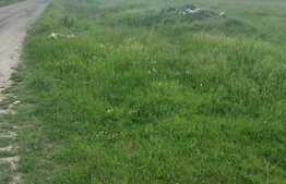 Teren locuinte colective,  692 mp, Giroc!