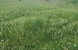 Teren locuinte colective, 4080 mp, Giroc!