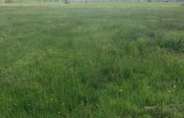 Teren locuinte colective, 4080 mp, Giroc!