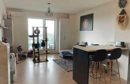 Apartament tip open space de 2 camere in zona Torontal