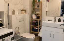 Apartament tip open space de 2 camere in zona Torontal