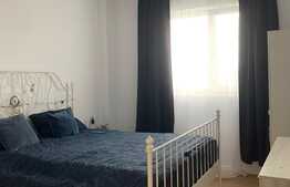 Apartament tip open space de 2 camere in zona Torontal