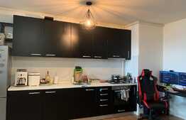Apartament tip open space de 2 camere in zona Torontal