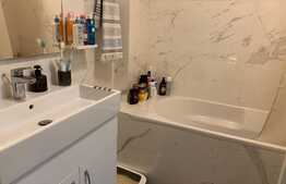 Apartament tip open space de 2 camere in zona Torontal