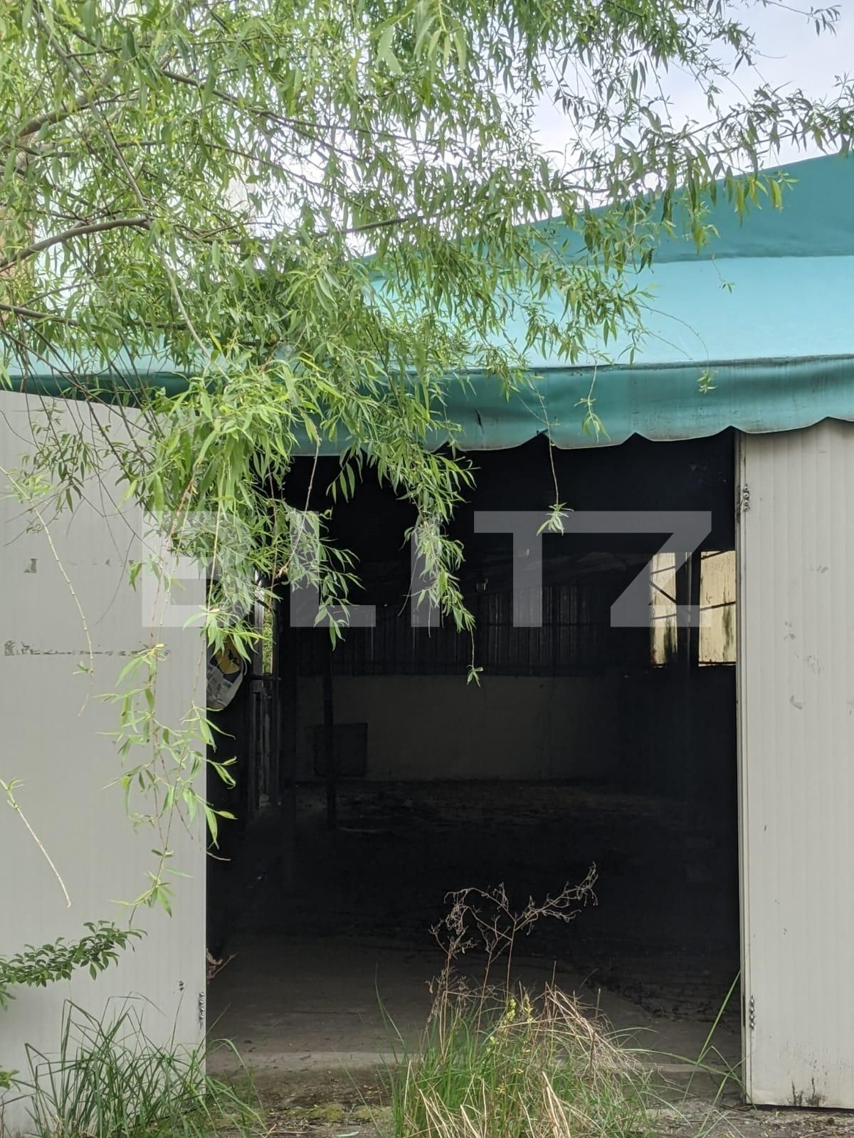 Teren de vânzare Sagului - 64798TV | BLITZ Timișoara | Poza1