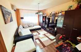 Apartament de 2 camere, decomandat, etaj intermediar, zona Lipovei