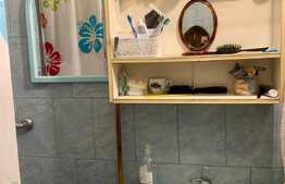 Garsoniera 22 mp, situata la parter, zona Buziasului, AEM