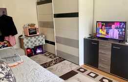 Garsoniera 22 mp, situata la parter, zona Buziasului, AEM