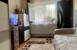 Garsoniera 22 mp, situata la parter, zona Buziasului, AEM