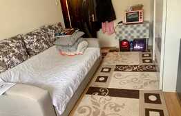 Garsoniera 22 mp, situata la parter, zona Buziasului, AEM