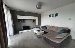 Apartament superb  de 2 camere situat in zona Aradului